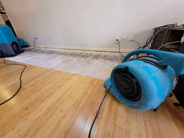 Professional Flood Damage Cleanup technician working in Stockbridge, WI